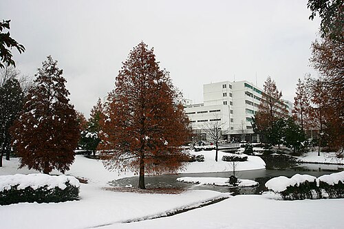 Gifu University